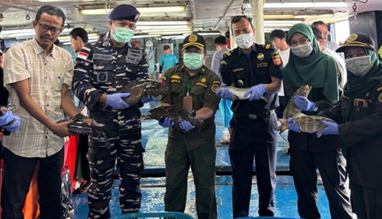 2026 Maiden Export: 8.3 Tons of Live Fish from Natuna Successfully Penetrate Hong Kong Market