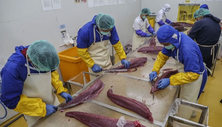 Indonesia Expands Fishery Export Access to T&uuml;rkiye and China