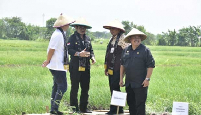 Minister of Agriculture SYL and Deputy Minister of Trade Great Harvest and Release of Red Onion Supply to the Capital