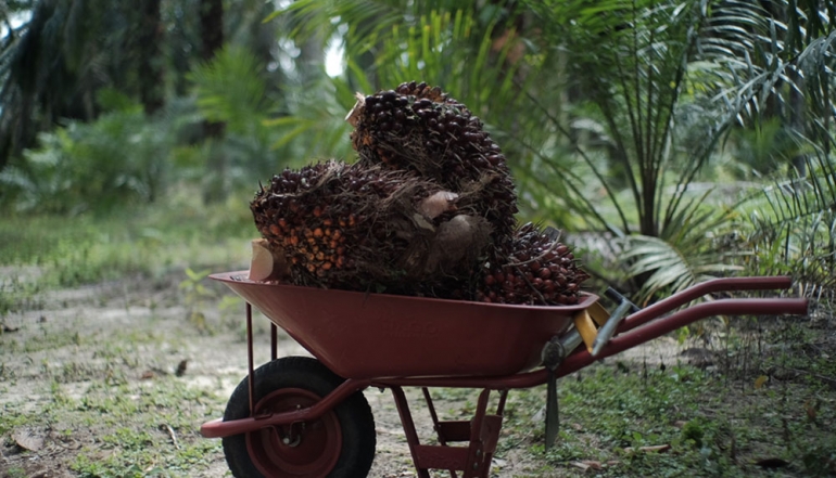Boosting Palm Oil Downstreaming: Transforming Indonesia&rsquo;s "Miracle Crop" for the Global Market