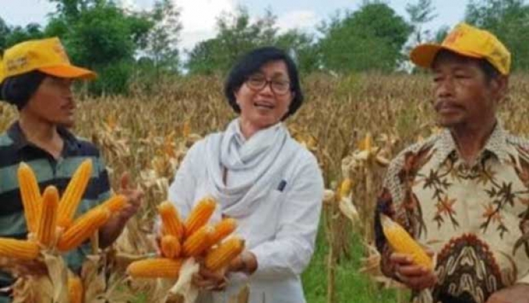 Technological Innovations Support the Realization of Sustainable Corn Self-Sufficiency
