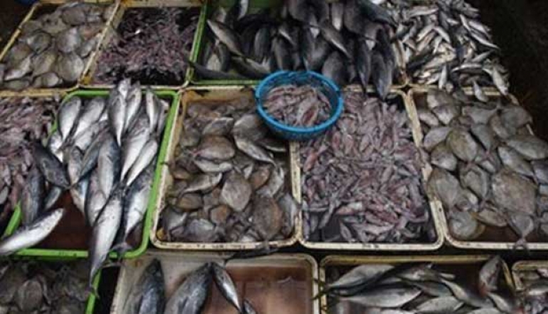 At SENA, Indonesia Expands Fishery Product Market