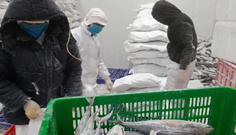 Renew Cooperation with South Korea, Indonesia Wants to Achieve This in the Marine and Fisheries Sector