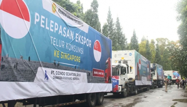 Indonesia Expands Global Market with Poultry Exports Worth IDR 18.2 Billion