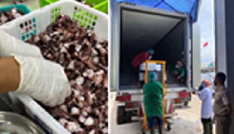 Indonesian Fisheries Targets USD 28 Million in Exports to China by 2024