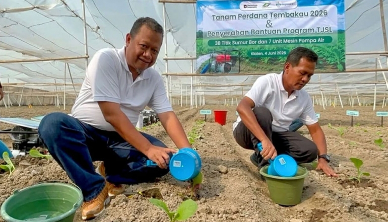 Indonesia Doubles Premium Cigar Tobacco Production to Meet Western Demand