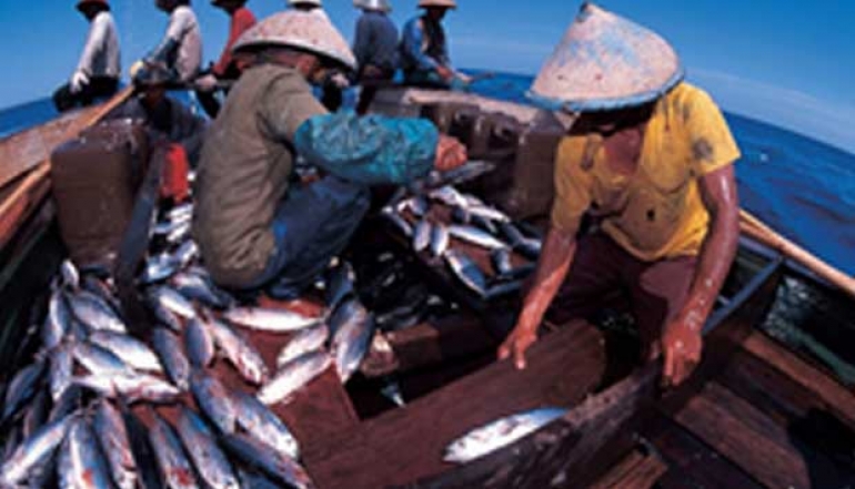 Continued Push for Licensing in the Indonesian Marine and Fisheries Sector