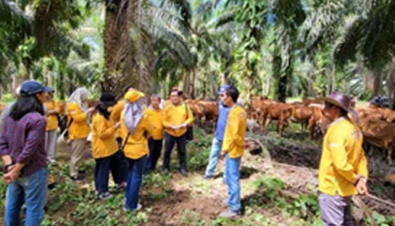 South Kalimantan Provincial Government Continues to Develop Innovations to Boost Palm Oil Exports