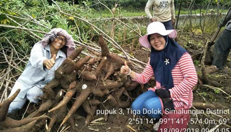 Empowering Cassava and Sweet Potato for Food and Industry Purposes