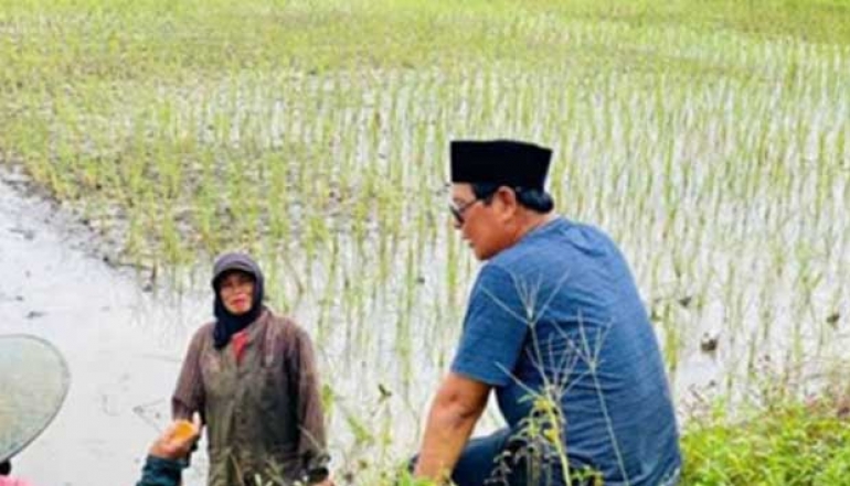 South Kalimantan Province Surplus In Paddy Harvest and Ready To Be National Food Buffer