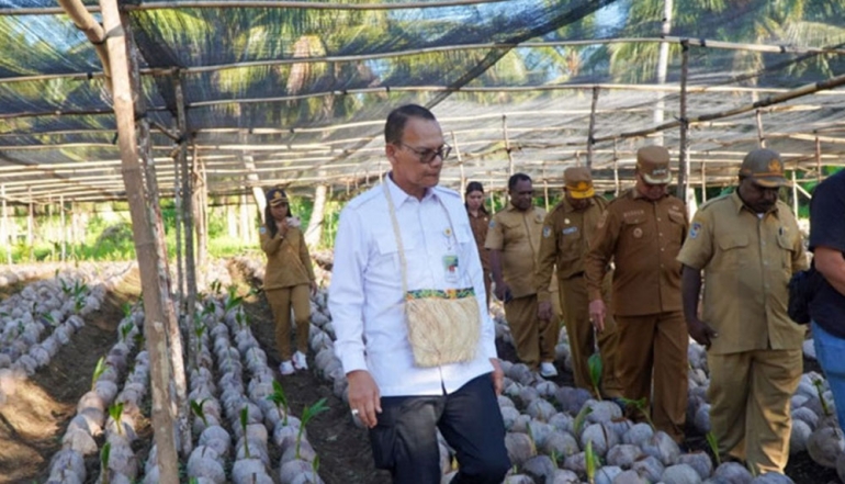 Ministry of Agriculture Positions Nabire as Papua's Most Comprehensive Plantation Hub in 2026