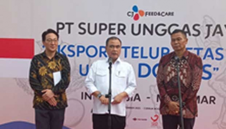 Indonesia Reports a Surplus of 348 Thousand Tons of Chicken Meat