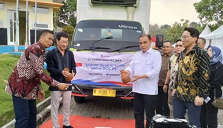Indonesia Resumes Exporting 58,500 Chicken Hatchery Eggs to Myanmar