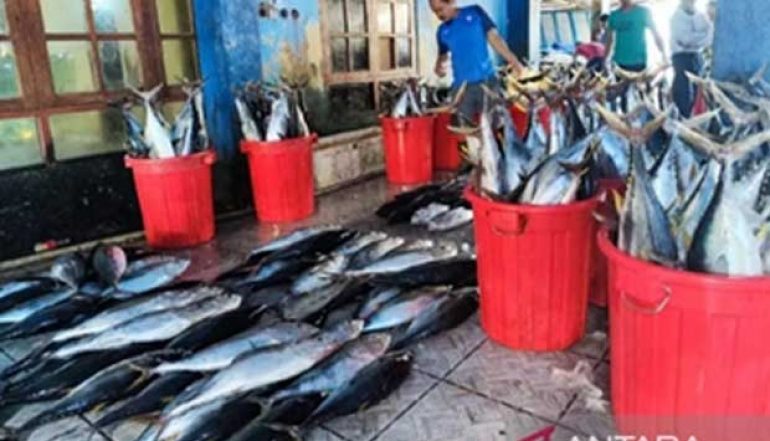 Papua Provincial Government Encourages 9 Districts To Export Fishery Products