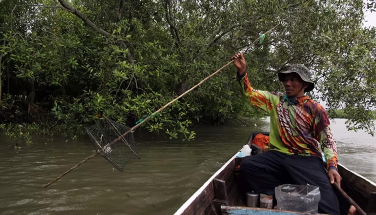 Fast-Tracking Indonesia&rsquo;s Green Economy Through Strong Frameworks and Global Collaboration