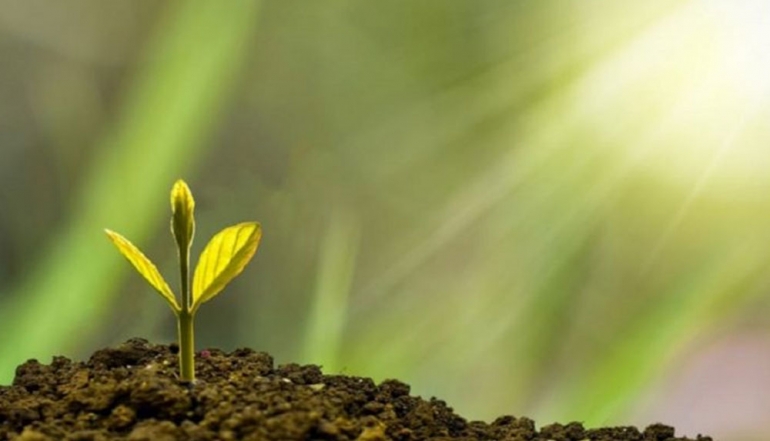 Indonesia Offers Strategic Green Investment Partnerships at IETA Forum