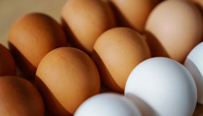 European Union Increases Meat and Egg Exports to Indonesia Amid Growing Demand