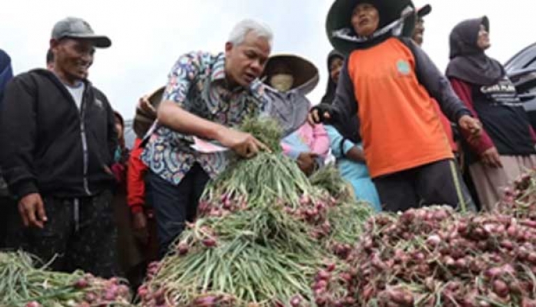 3 Largest Shallot-Producing Regencies in Central Java Reach 5.5 Million Quintals and Successfully Go International