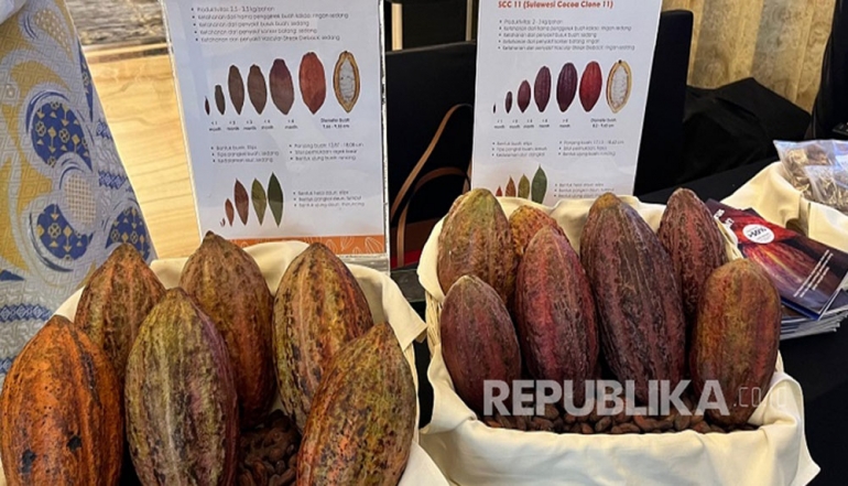 Indonesian Cocoa Industry Accelerates Global Market Expansion Driven by Strong Export Growth and Premium Trade Accords