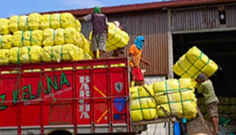 Kapok Fiber As An Innovative Product of Karaban Youth Elevating the Local Industry to the International Stage