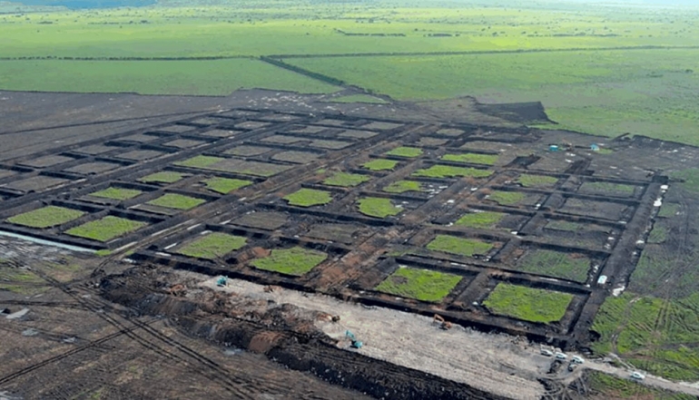 Indonesia Unveils USD 500 Million Integrated Shrimp Hub Aiming for 53,000t Annual Output
