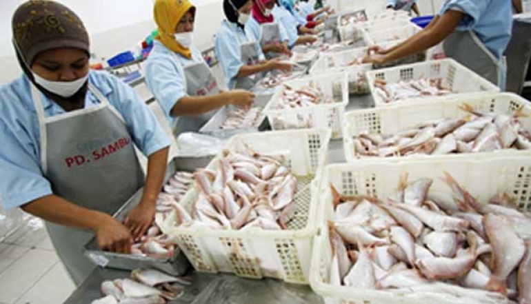 Incessant Targeting Fisheries Export Market