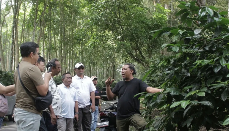 Bondowoso Coffee Goes Global as Singapore and Europe Eye Premium Ijen Micro-Lots