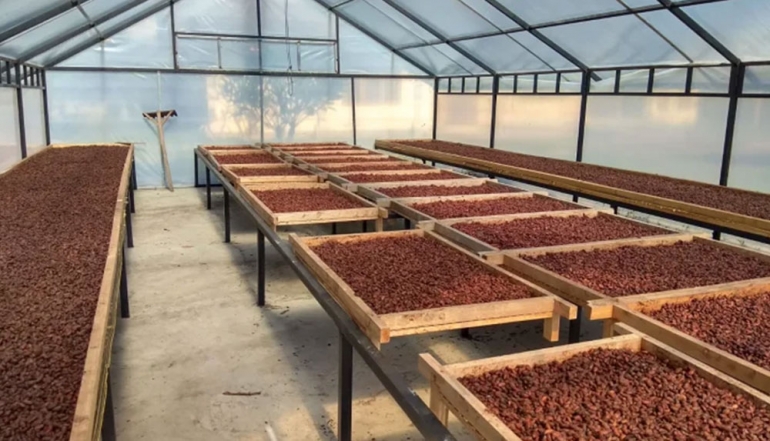 Bali&rsquo;s Agricultural Commodities Maintain Strong Standing in International Export Markets