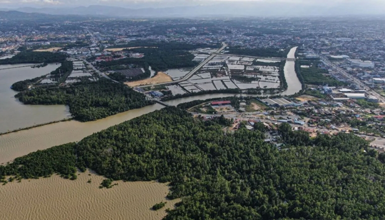 Indonesia Expands Forestry Investment Opportunities Through Carbon Trading
