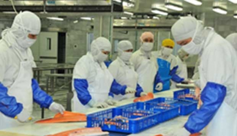 Processing Industry Supports Economic Growth in the Second Quarter of 2023