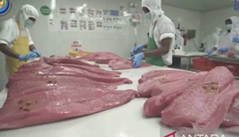 MMAF: Buru Island was chosen as the location for developing MSC tuna certification