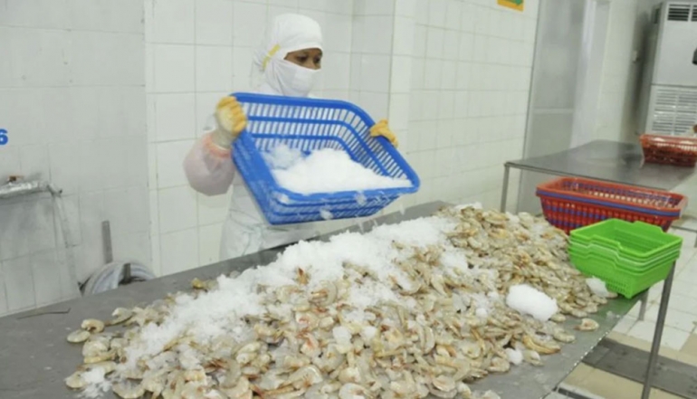 Indonesia Exports 1,852 Containers of Shrimp to the US in Three Months