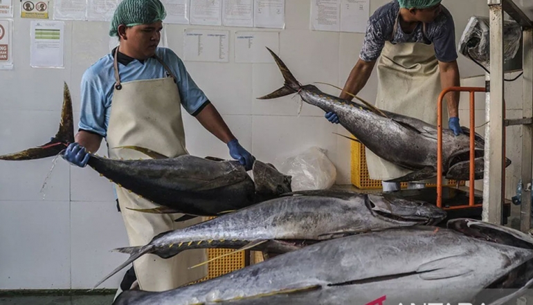 Indonesia Charts Ambitious 2026 Strategy to Strengthen Seafood Exports