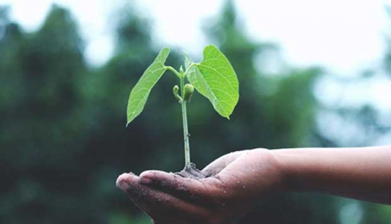 Downstreaming of Agricultural Commodities