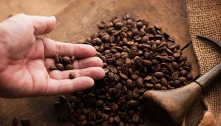 Indonesian Coffee Takes the Spotlight in Budapest, Hungary