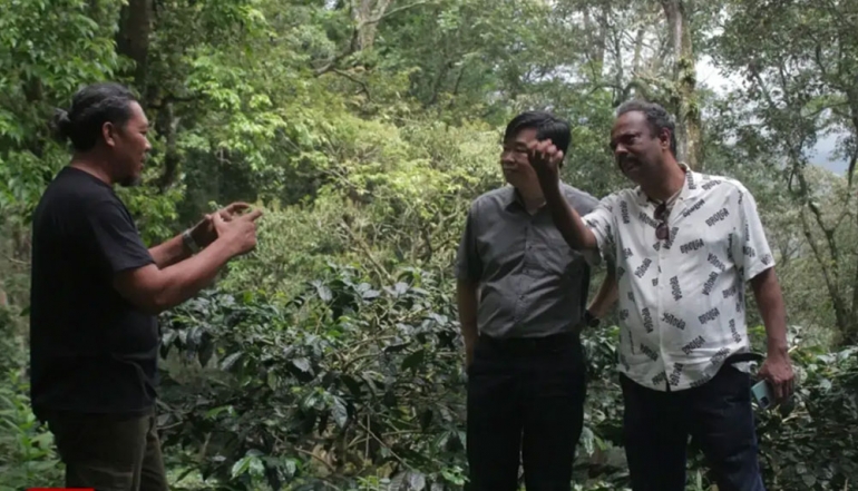 Bondowoso&rsquo;s Ijen Raung Coffee Attracts Foreign Investment, Sparking New Hope for Local Farmers