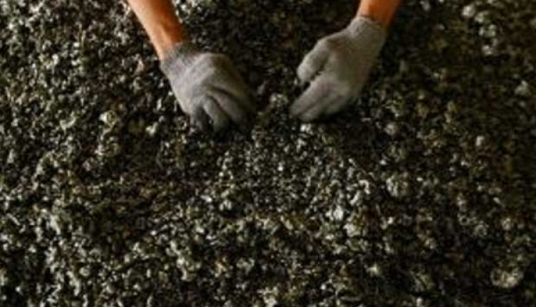 Exports of Nickel Ore-Derived Products Surpass IDR 253.8 Trillion