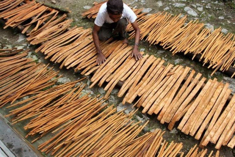 Minister of Trade Prepare The Pathway For The Export of Jambi's Products