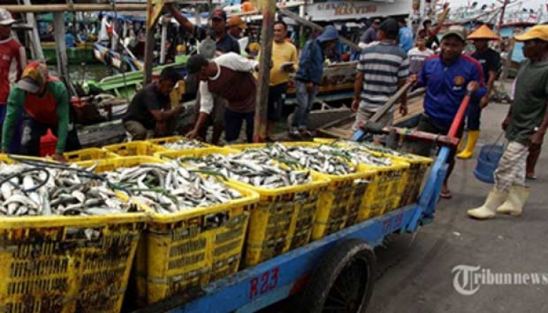 Aruna Fishermen's Fishery Commodity Exports Welcomed Positively by Hong Kong Market
