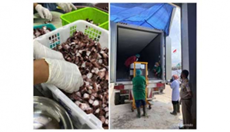 Indonesian Fisheries Records Sales of IDR 248 Billion in First Semester of 2023