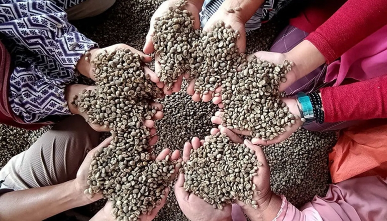 Plantation Sector Emerges as a Vital Pillar for Indonesia&rsquo;s Macroeconomic Stability