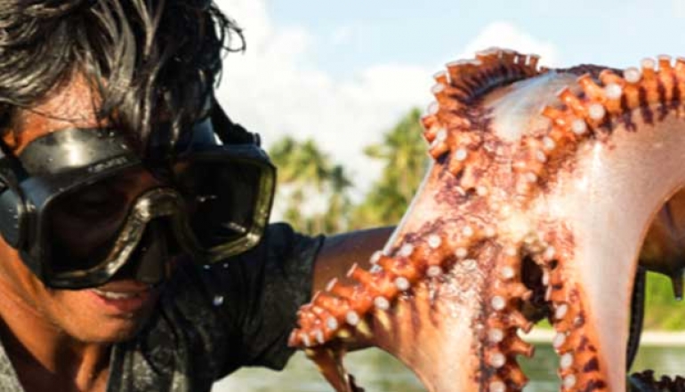 Successful Increase in Octopus Production Prompts Selayar Fishermen to Reopen and Close Fishing Zones Again