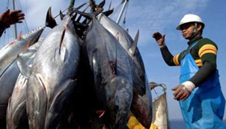Indonesia Has the Potential to Increase Fishery Product Exports to Egypt
