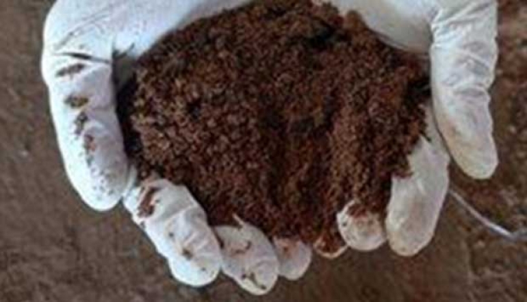 Gorontalo Exports Coconut Cake to China, Valued IDR 9.9 Billion