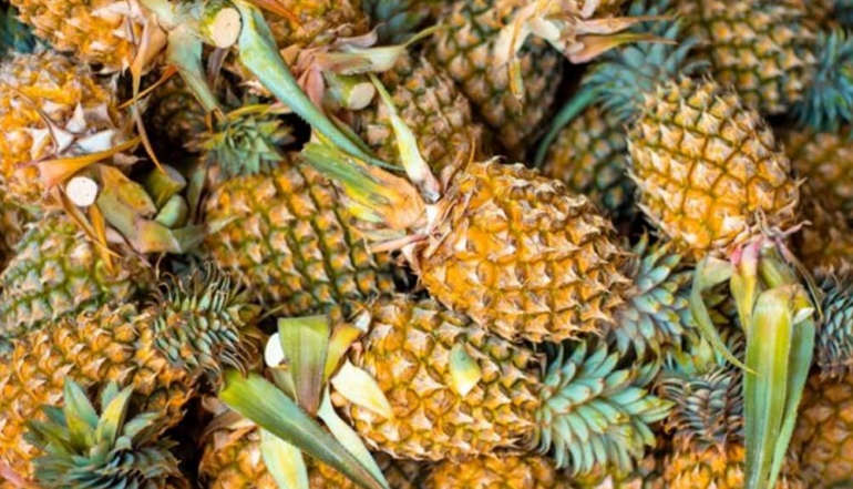 Indonesia Becomes the World&rsquo;s Largest Pineapple Producer with Strong Nutritional Advantages
