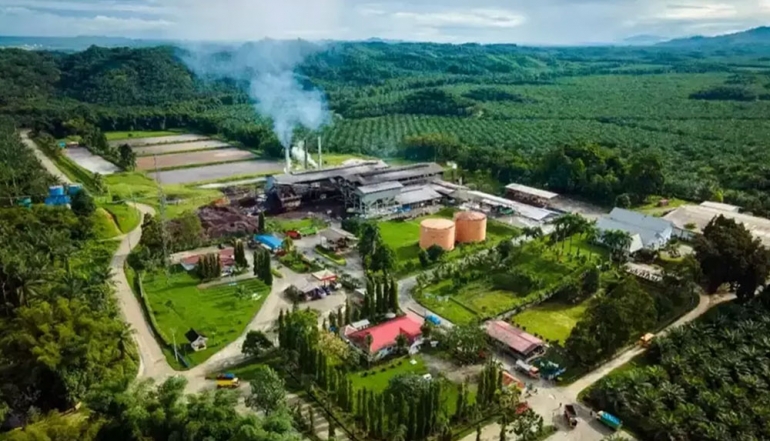 Indonesian Palm Bioenergy Accelerates Energy Independence and Economic Growth Through Advanced Downstream Processing