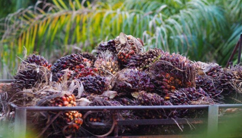 Agro-Industry as a Pillar of Indonesia&rsquo;s Economic Growth