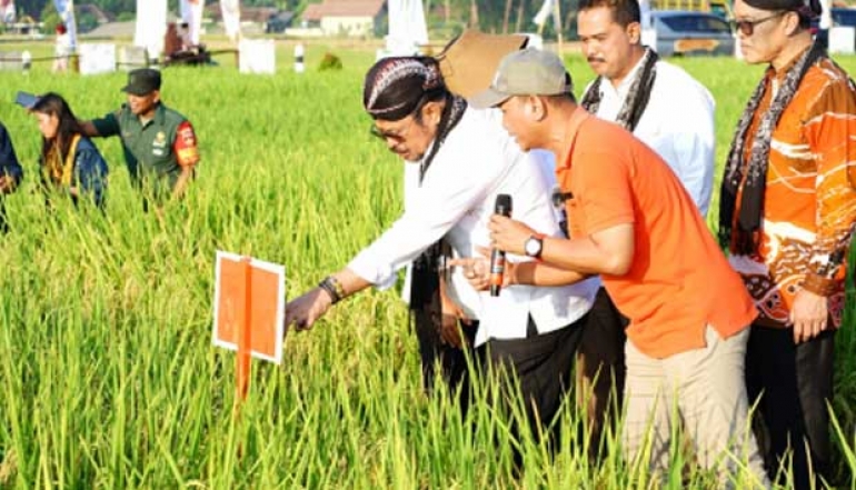 Minister SYL Affirms Ongoing Development of Superior Plant Varieties