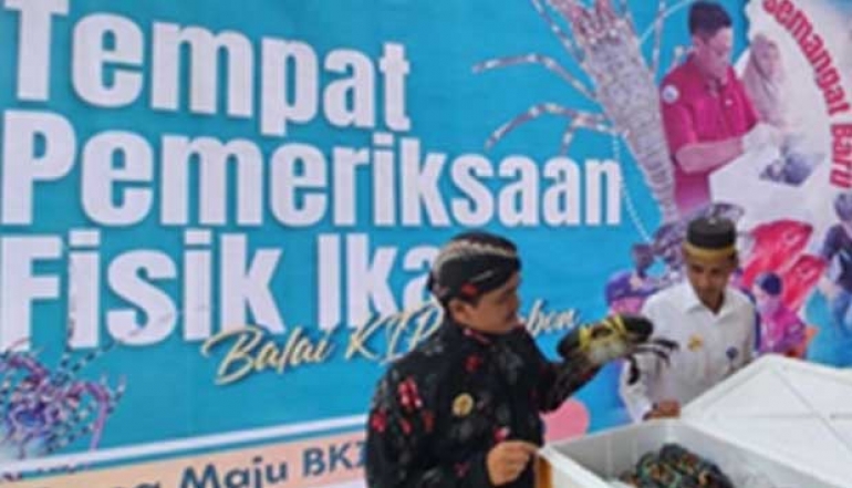 Expansion of Mud Crab Export From Maluku To ASEAN Market