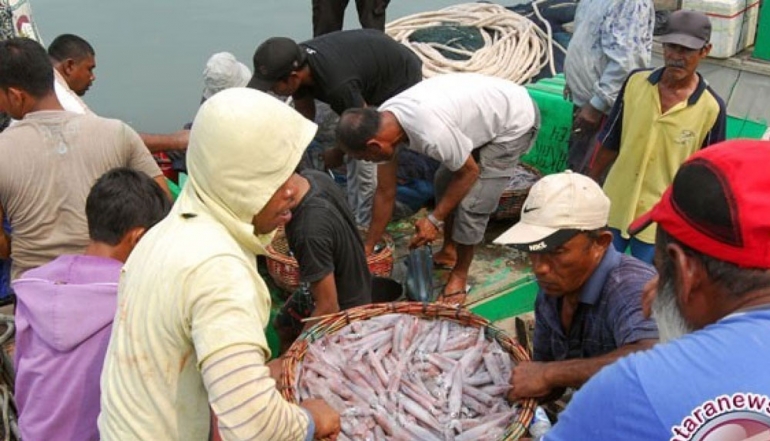 Bangka Belitung Fishery Exports Reach Rp114 Billion as Demand for Marine Products Surges